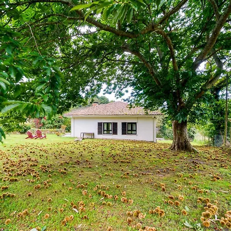 En Riegu Llanes * Vidiago